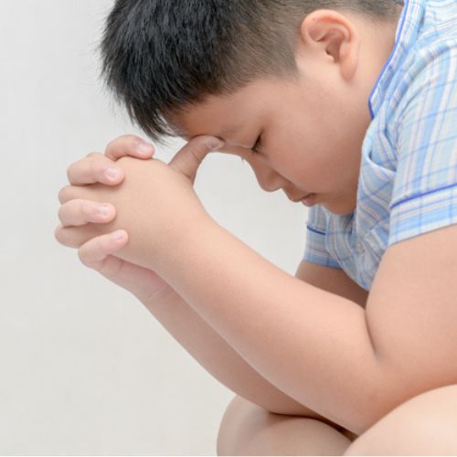 Programa para Adolescentes Obesos